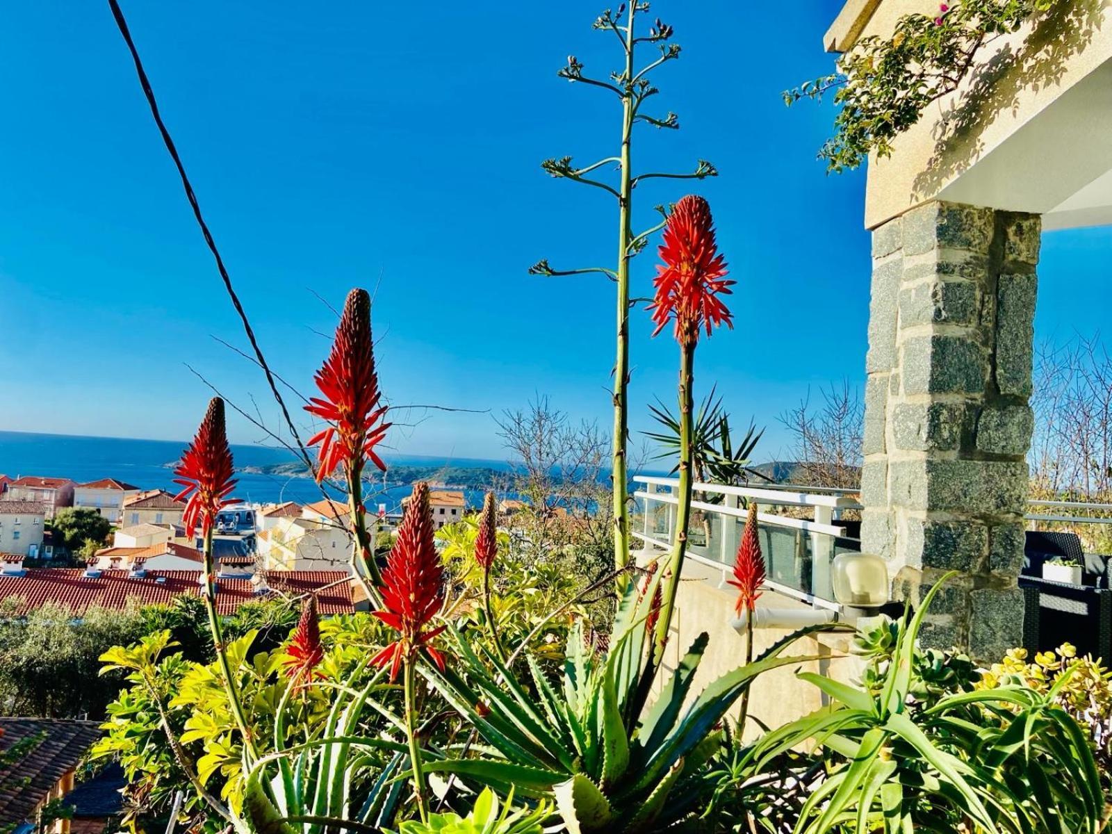 Villa Montalbo Vue Mer De 2 A 10 Personnes Cargèse Exterior foto